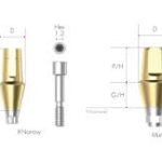 ABUTMENT MULTYSYSTEM