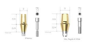 ABUTMENT MULTYSYSTEM