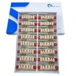 Acrylic Teeth ANTERIOR ,Two Layer