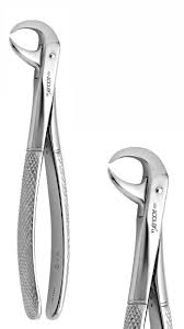 LOWER COWHORN  MOLARE FORCEPS (SPECIAL)