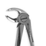 LOWER MOLAR FORCEPS