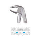 LOWER PREMOLAR FORCEPS