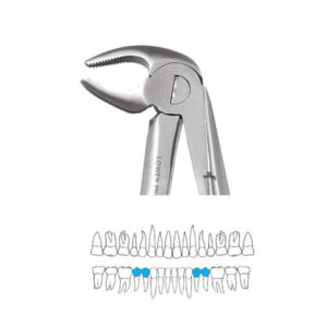 LOWER PREMOLAR FORCEPS