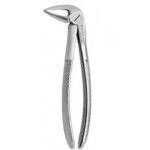 LOWER ROOT FORCEPS