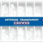 TRANSPARENT CROWN FORM FOR ANIERIOR TEETH