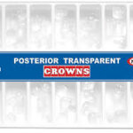 TRANSPARENT CROWN FORM FOR POSTERIOR TEETH