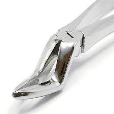 UPPER ROOT FORCEPS OR BAYONET