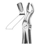 UPPER THIRD MOLARE (WISDOM) EXTRACTION FORCEPS
