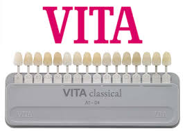 VITA GUIDE (ORIGINAL)